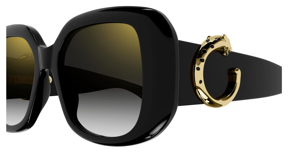 Cartier CT0471SA 001 54