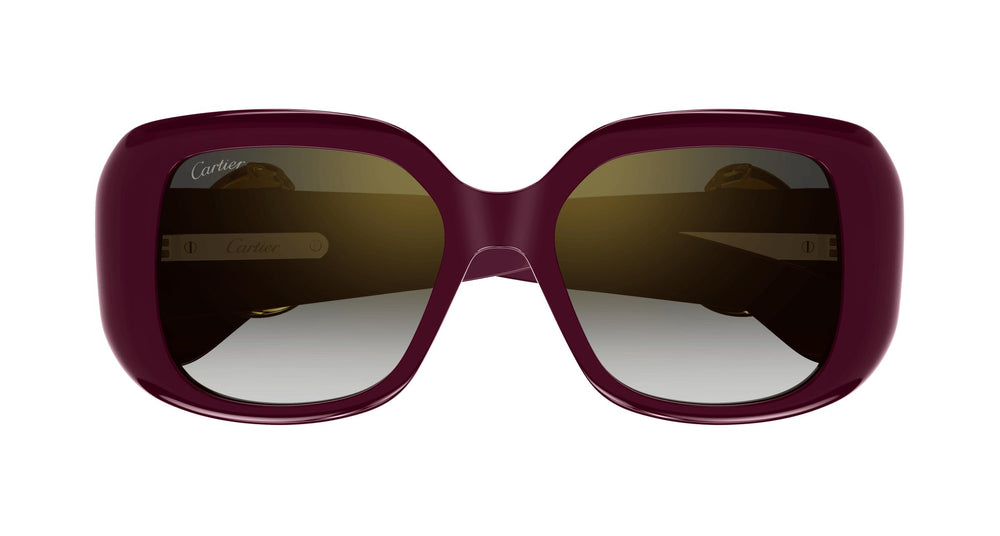 Cartier CT0471SA 004 54
