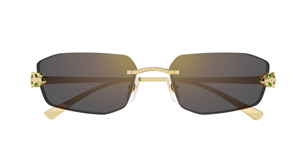 Cartier CT0474S 001 56