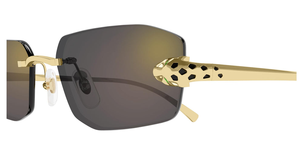 Cartier CT0474S 001 56