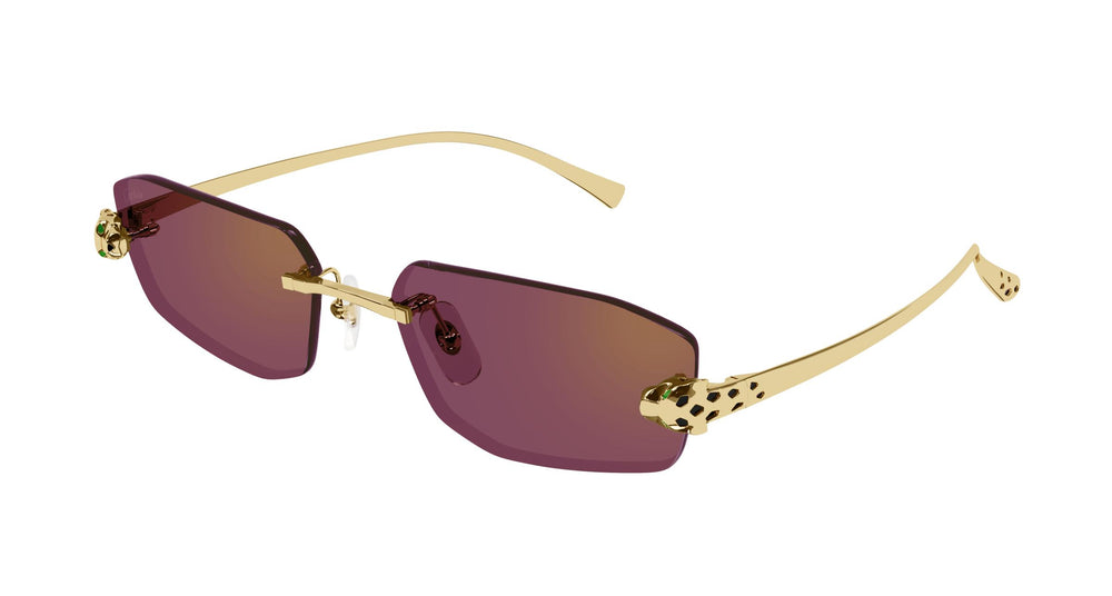 Cartier CT0474S 002 56
