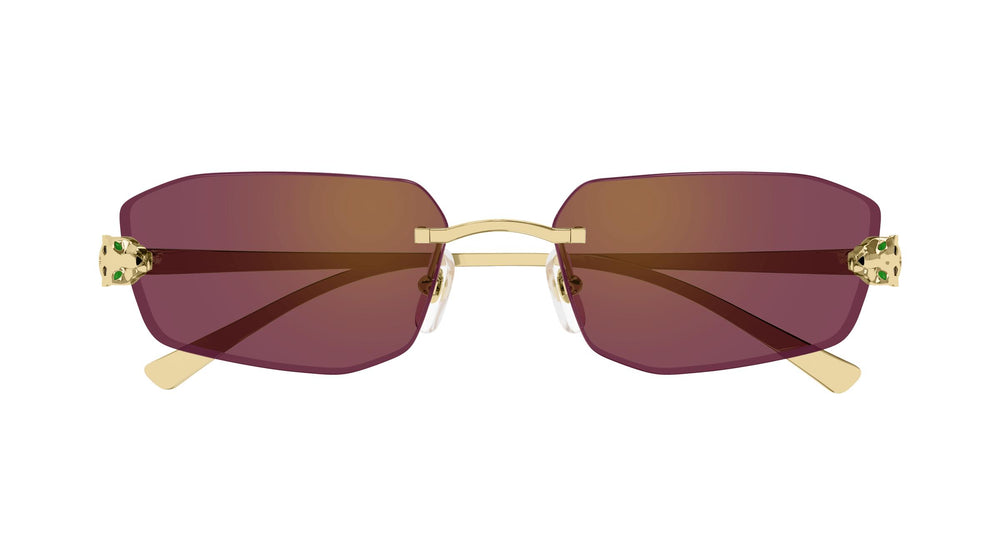 Cartier CT0474S 002 56
