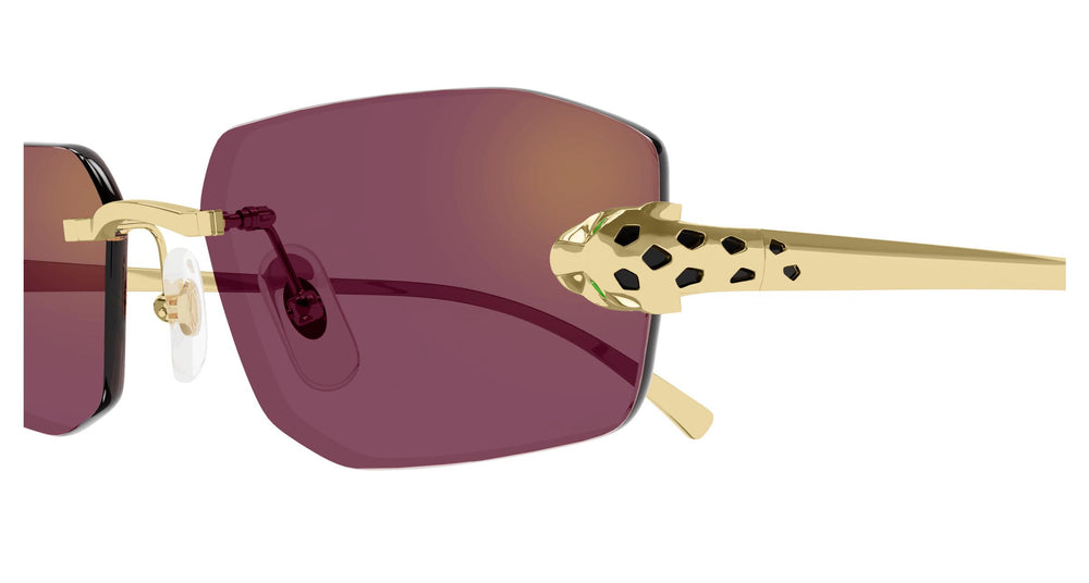 Cartier CT0474S 002 56