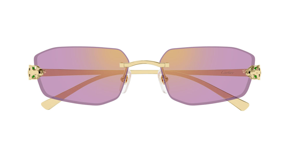 Cartier CT0474S 006 56