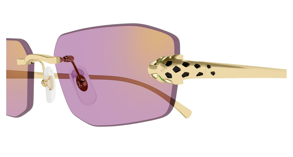 Cartier CT0474S 006 56