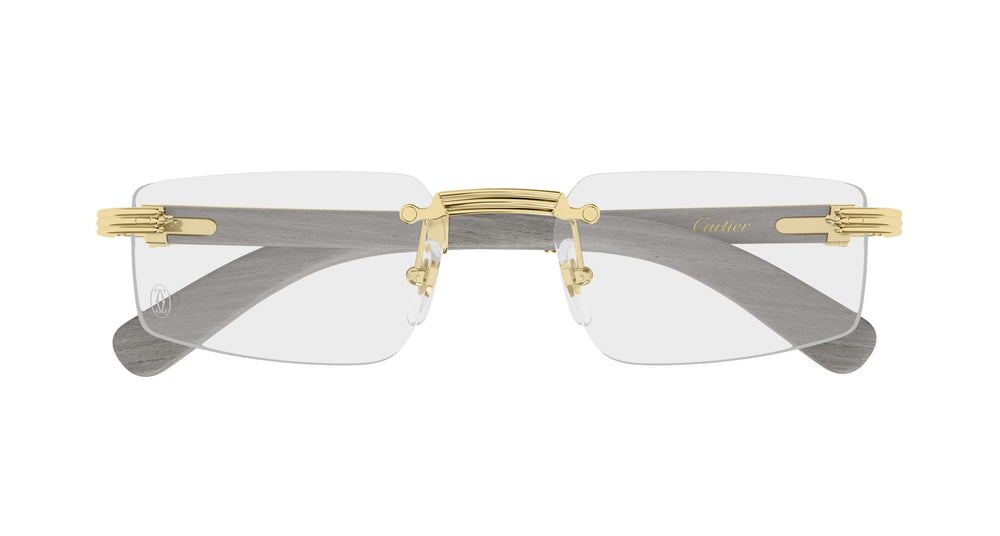 Cartier CT0485O 005 55