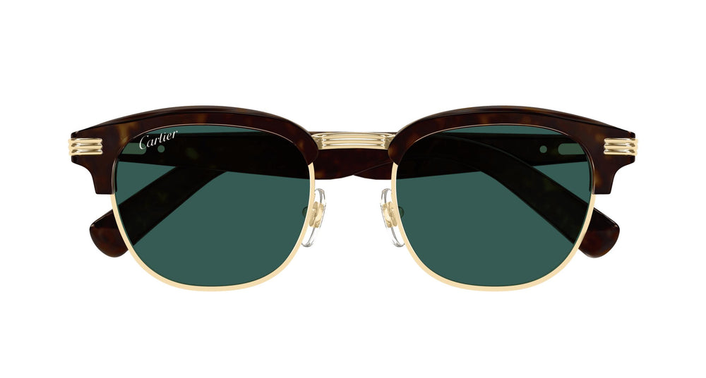 Cartier CT0496S 002 52