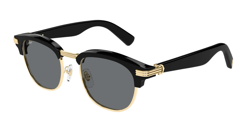 Cartier CT0496S 003 52