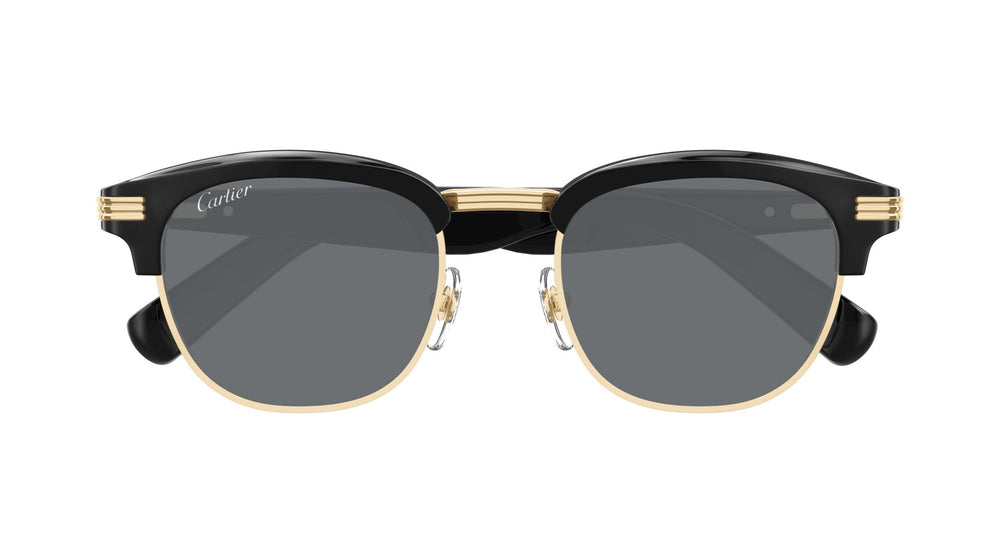 Cartier CT0496S 003 52