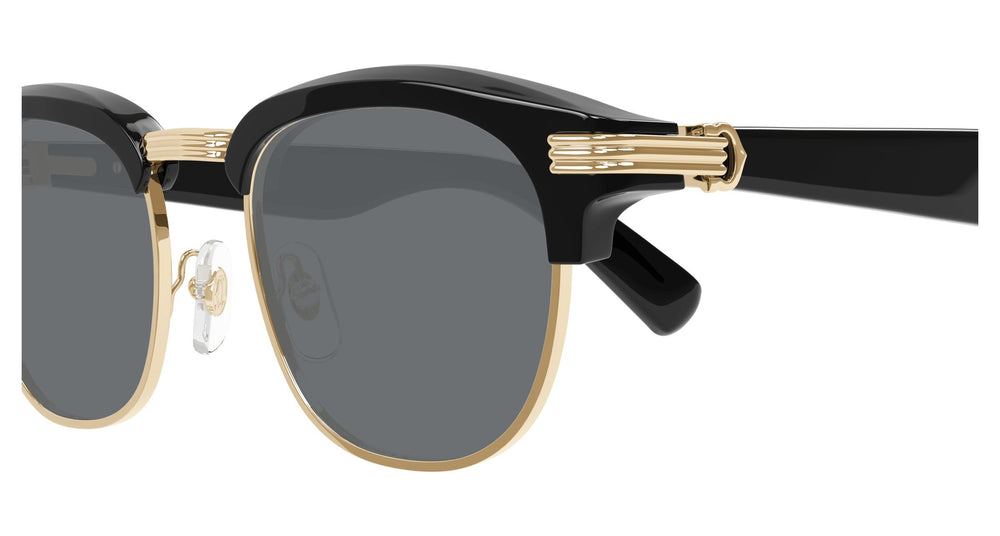 Cartier CT0496S 003 52