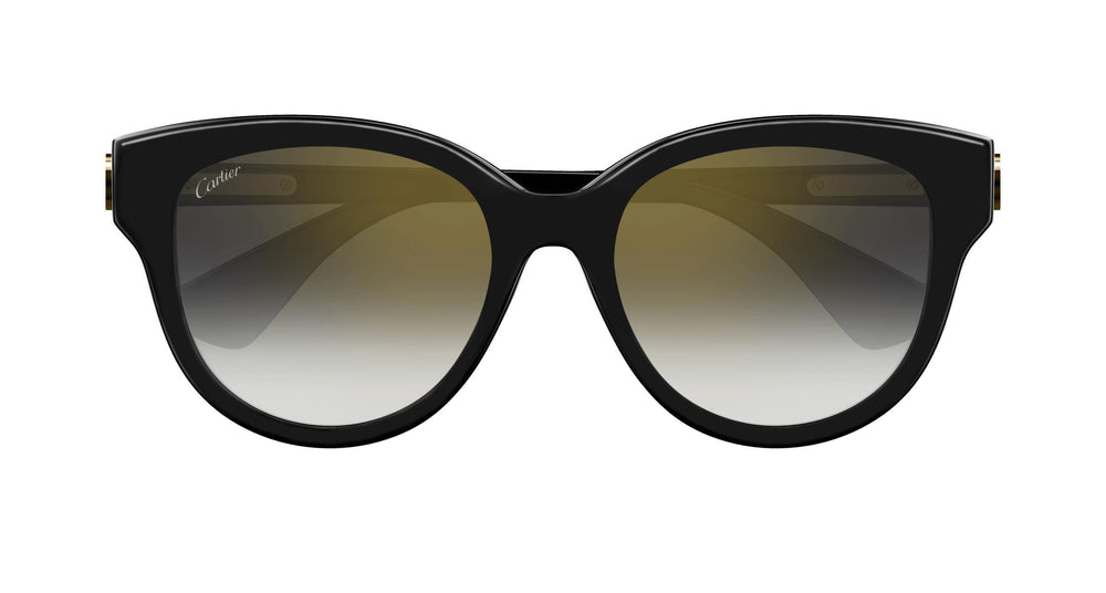 Cartier CT0506SA 001 55