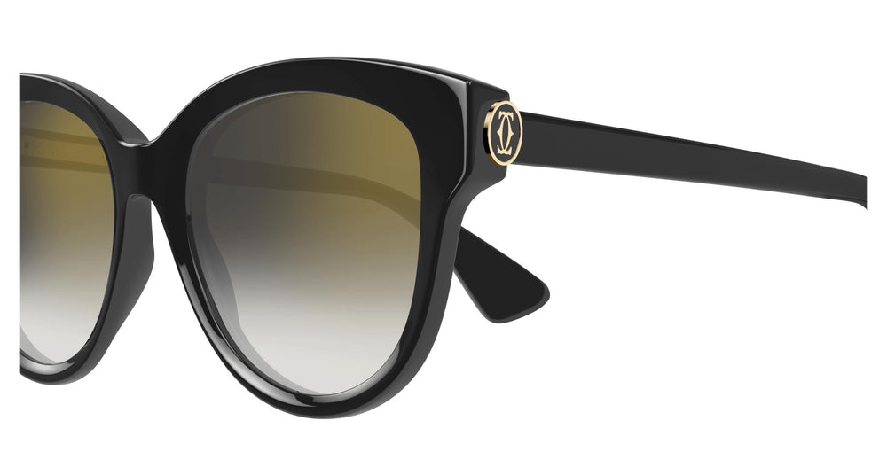 Cartier CT0506SA 001 55