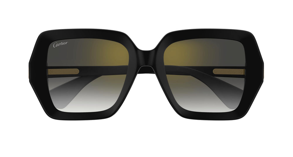 Cartier CT0507S 001 54