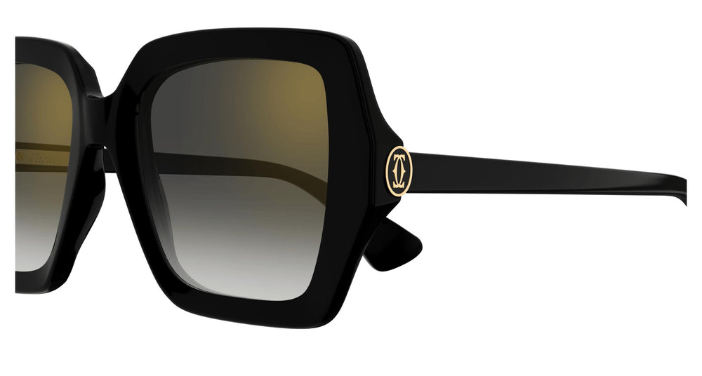 Cartier CT0507S 001 54