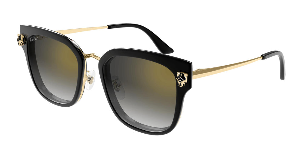 Cartier CT0509SA 001 55