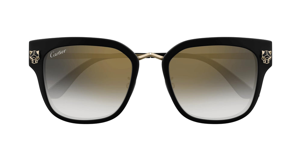 Cartier CT0509SA 001 55