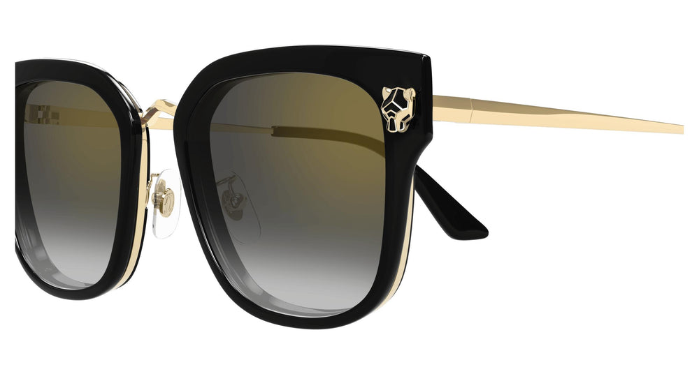 Cartier CT0509SA 001 55