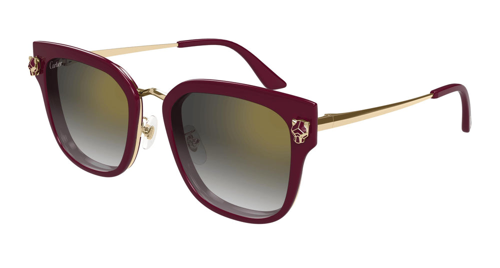 Cartier CT0509SA 003 55