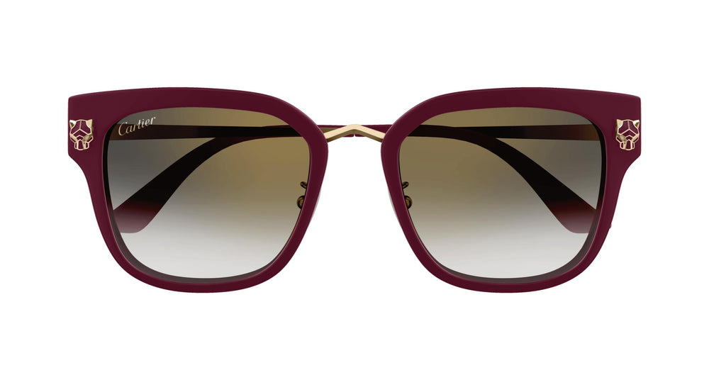 Cartier CT0509SA 003 55
