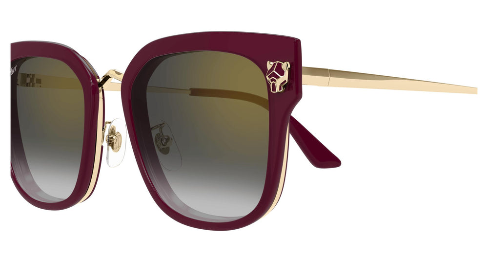 Cartier CT0509SA 003 55