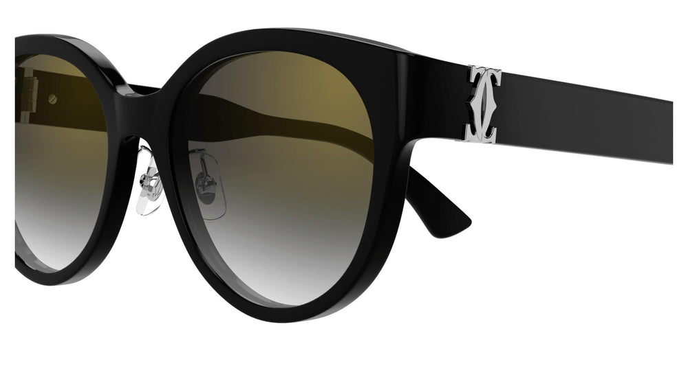 Cartier CT0510SJ 001 55