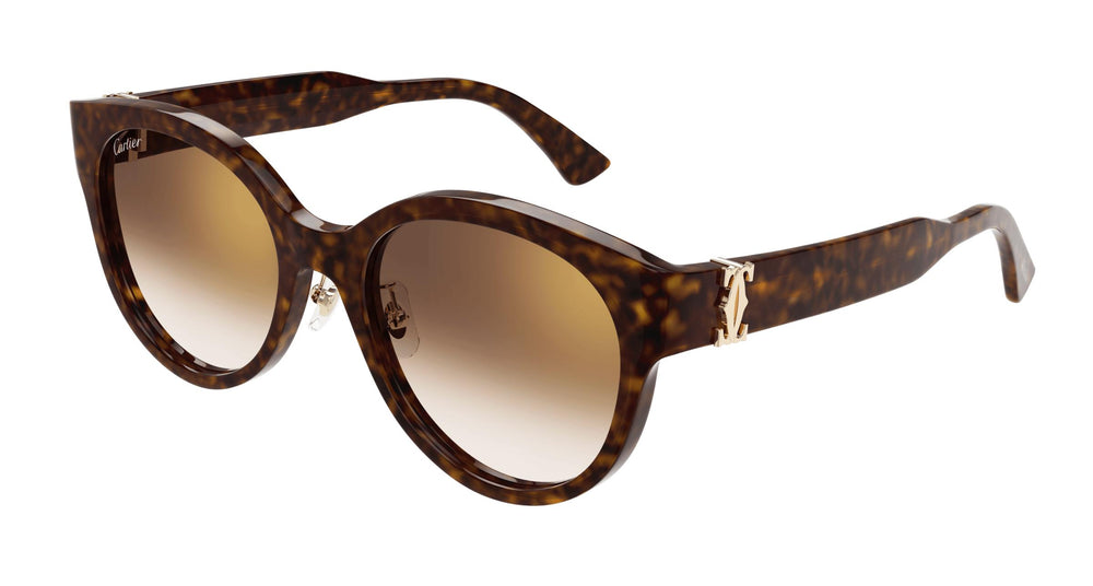 Cartier CT0510SJ 002 55