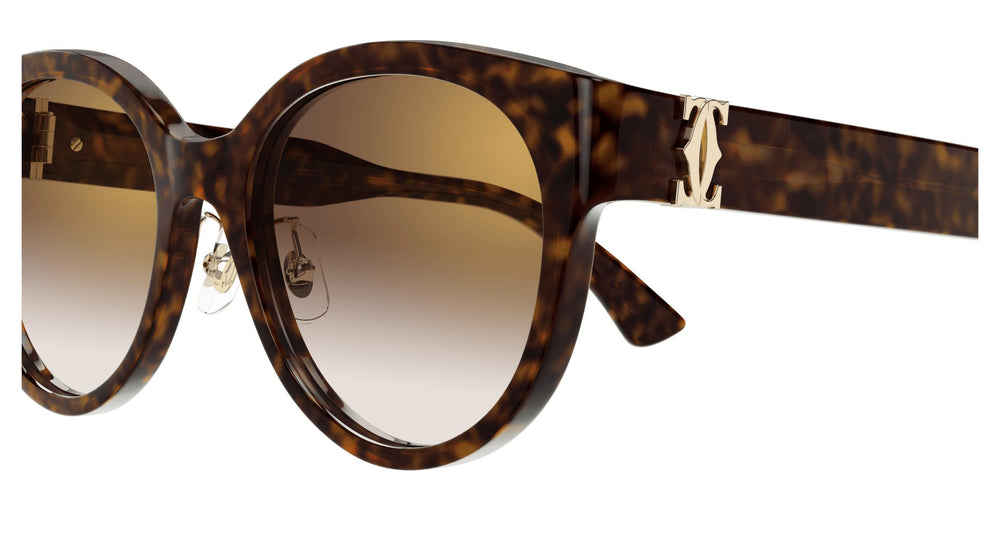 Cartier CT0510SJ 002 55