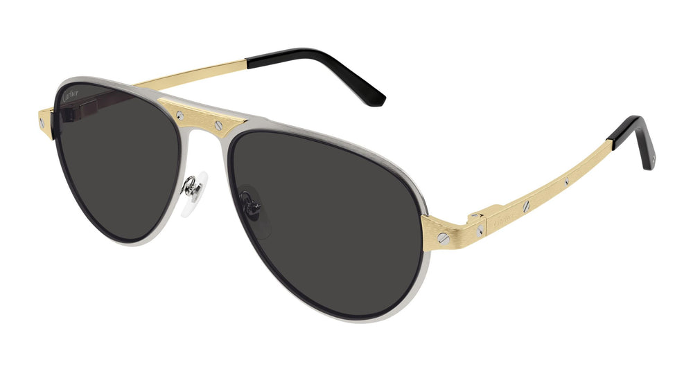 Cartier CT0533S 001 58