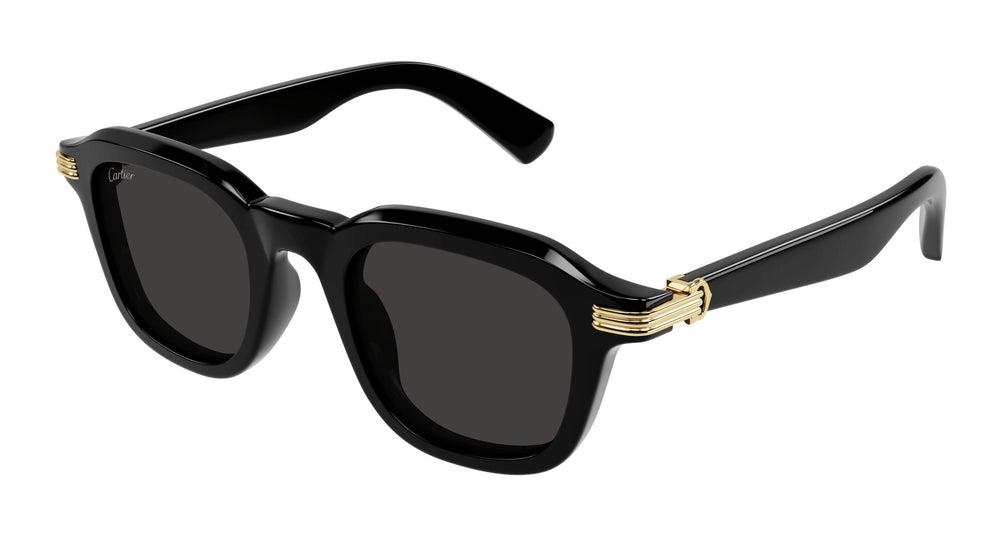 Cartier CT0536S 001 49