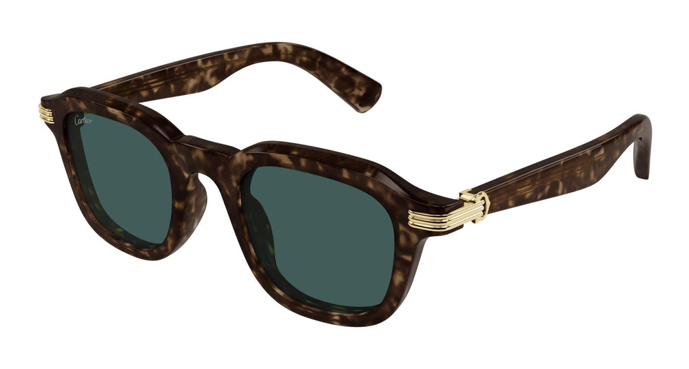 Cartier CT0536S 002 49
