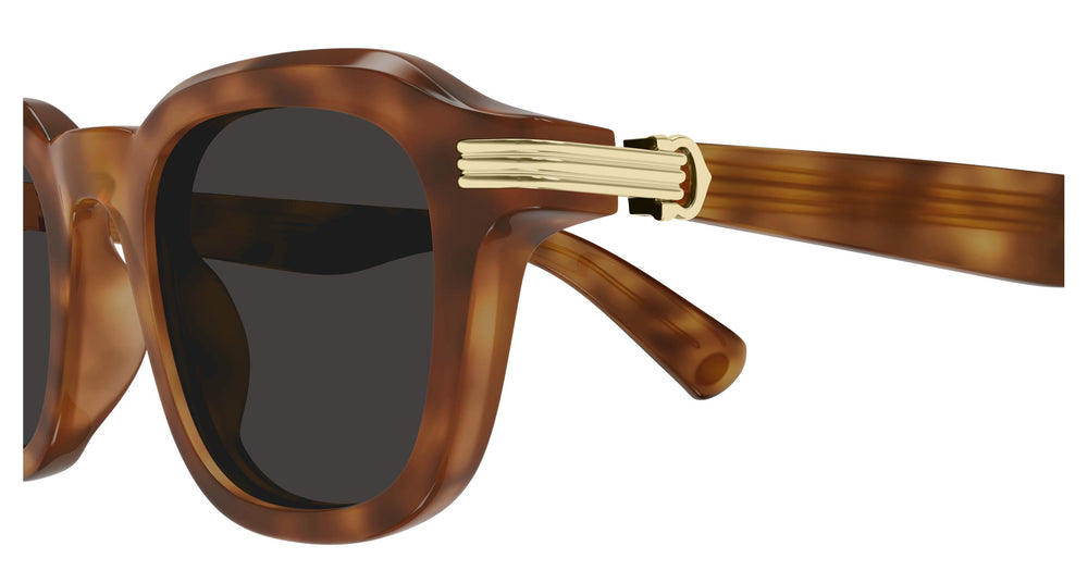 Cartier CT0536S 006 49