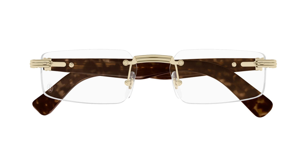 Cartier CT0537O 002 55