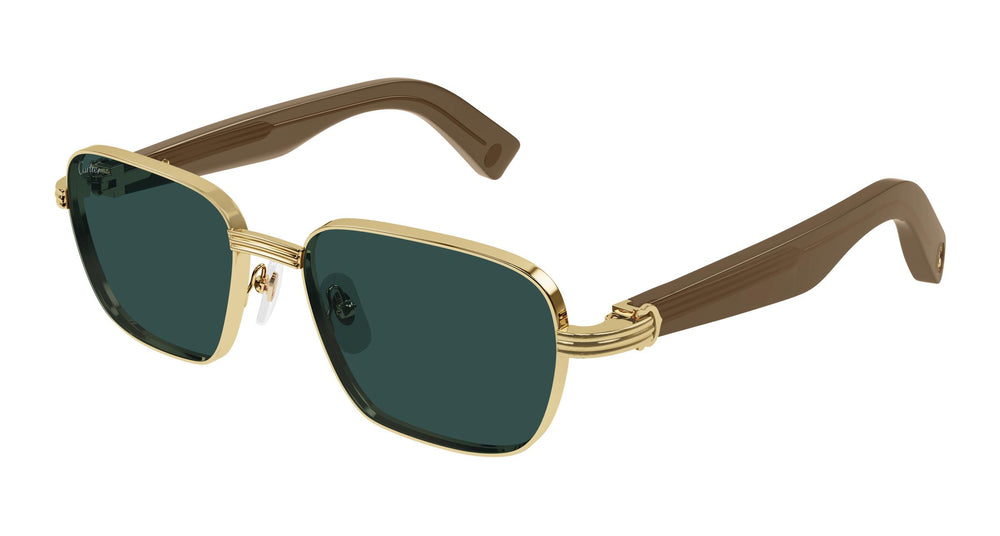 Cartier CT0538S 002 53