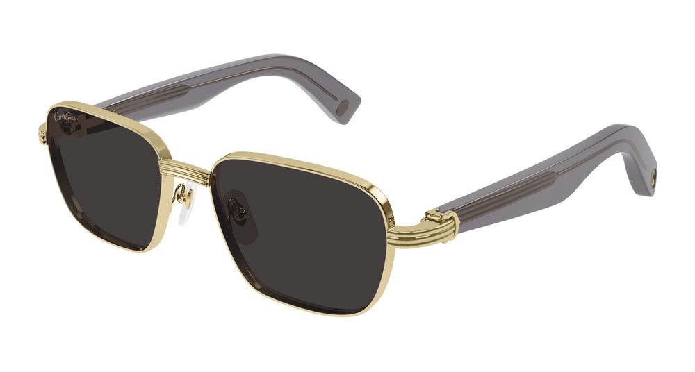 Cartier CT0538S 006 55