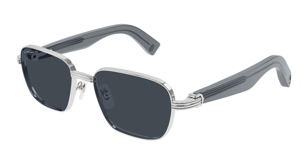 Cartier CT0538S 008 55