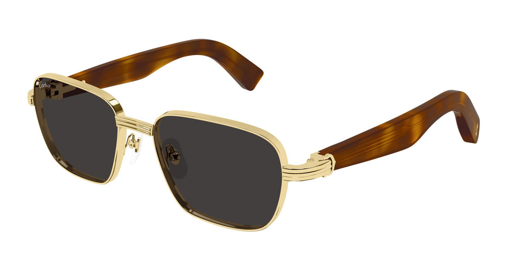 Cartier CT0538S 012 55