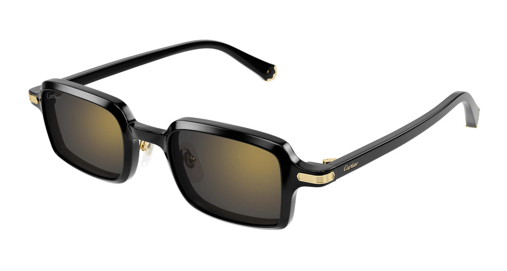 Cartier CT0539S 001 49