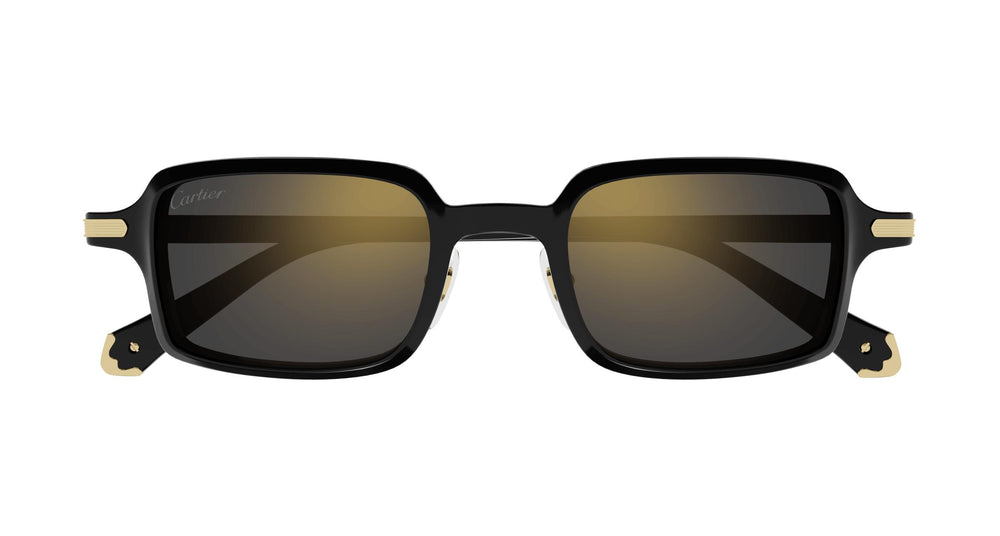 Cartier CT0539S 001 49