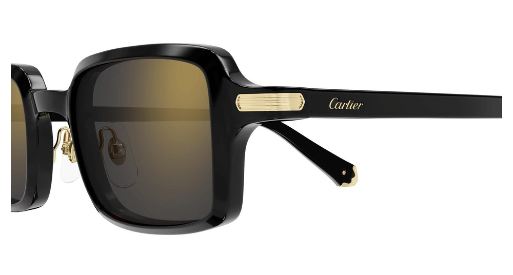 Cartier CT0539S 001 49