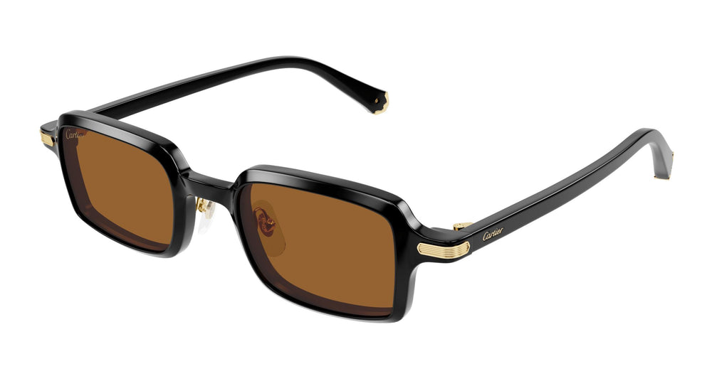 Cartier CT0539S 003 49