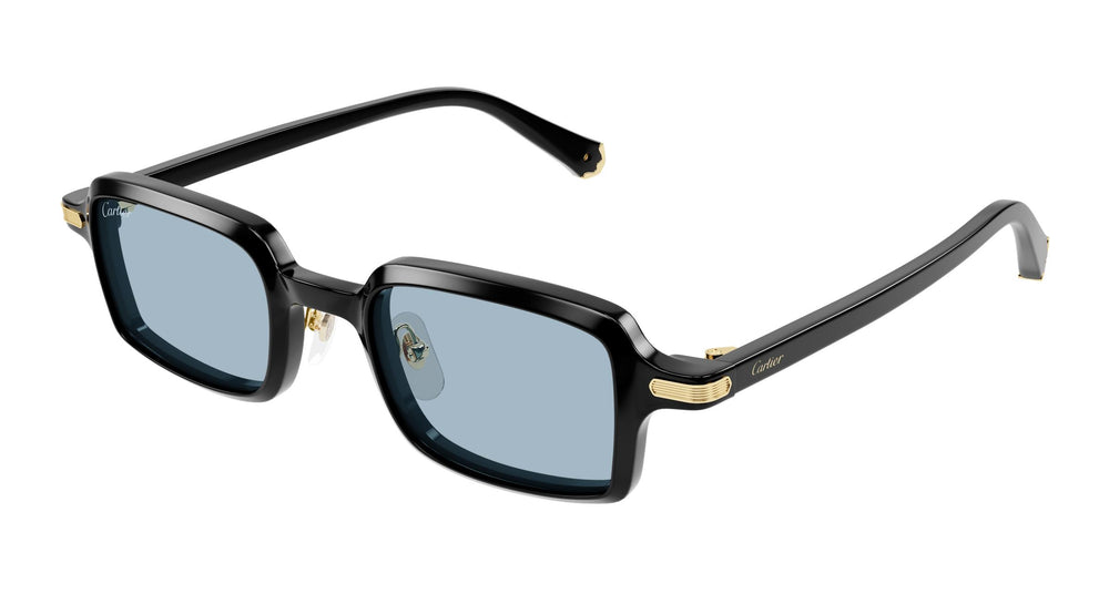 Cartier CT0539S 006 49