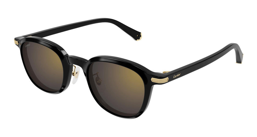 Cartier CT0541SA 005 53