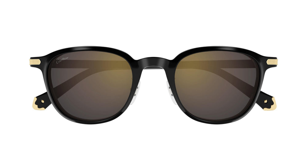 Cartier CT0541SA 005 53