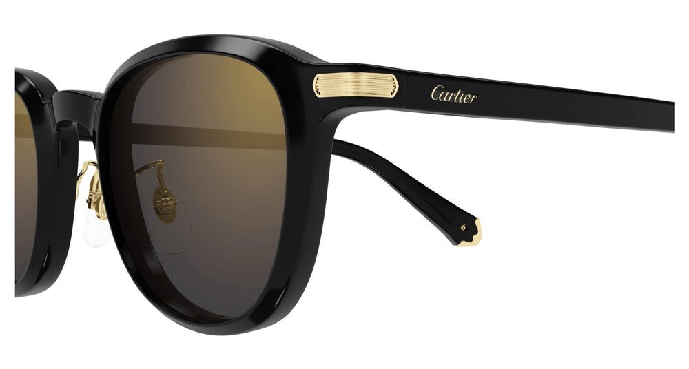 Cartier CT0541SA 005 53