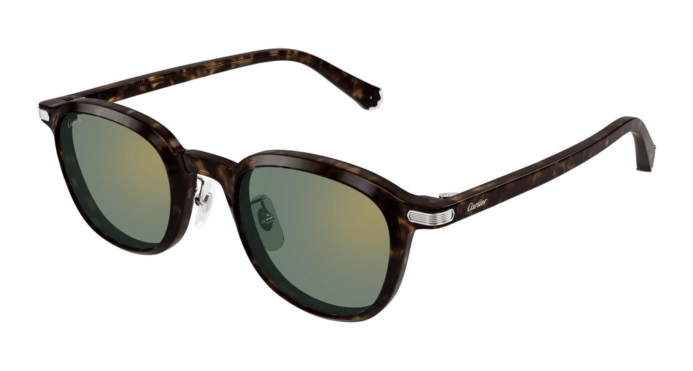 Cartier CT0541SA 006 53