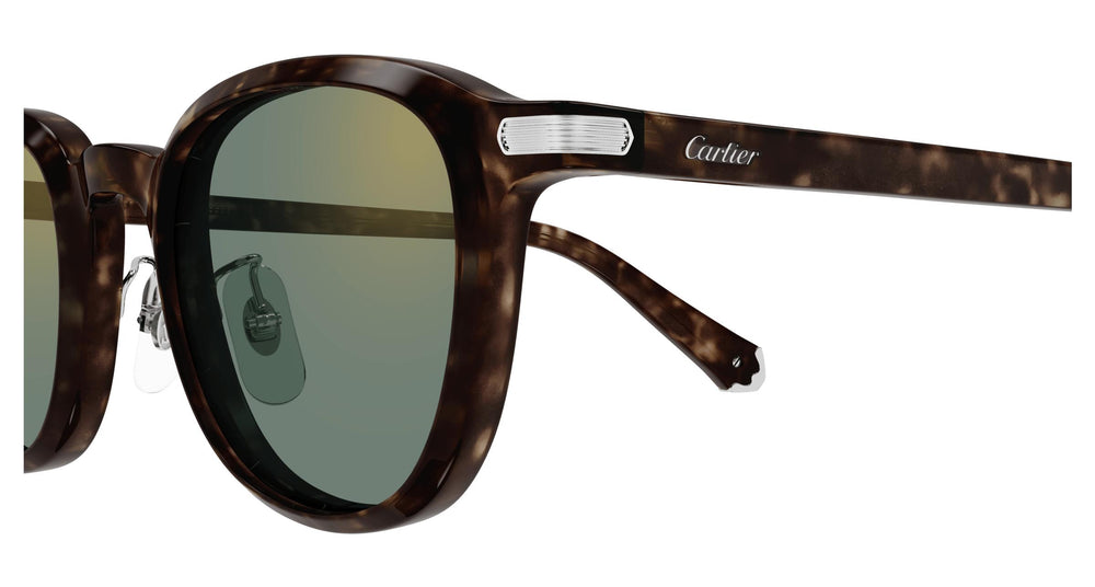 Cartier CT0541SA 006 53