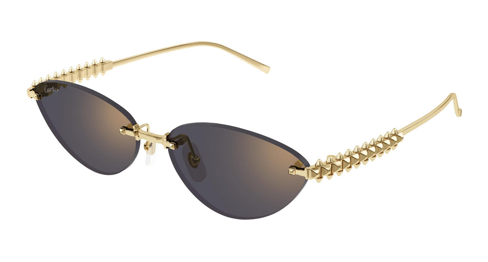 Cartier CT0543S 003 58
