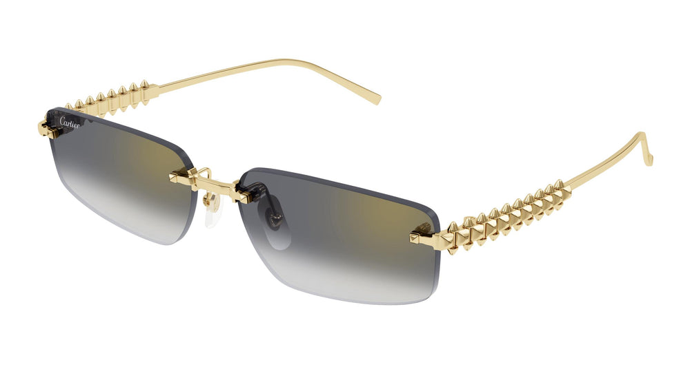 Cartier CT0544S 001 58