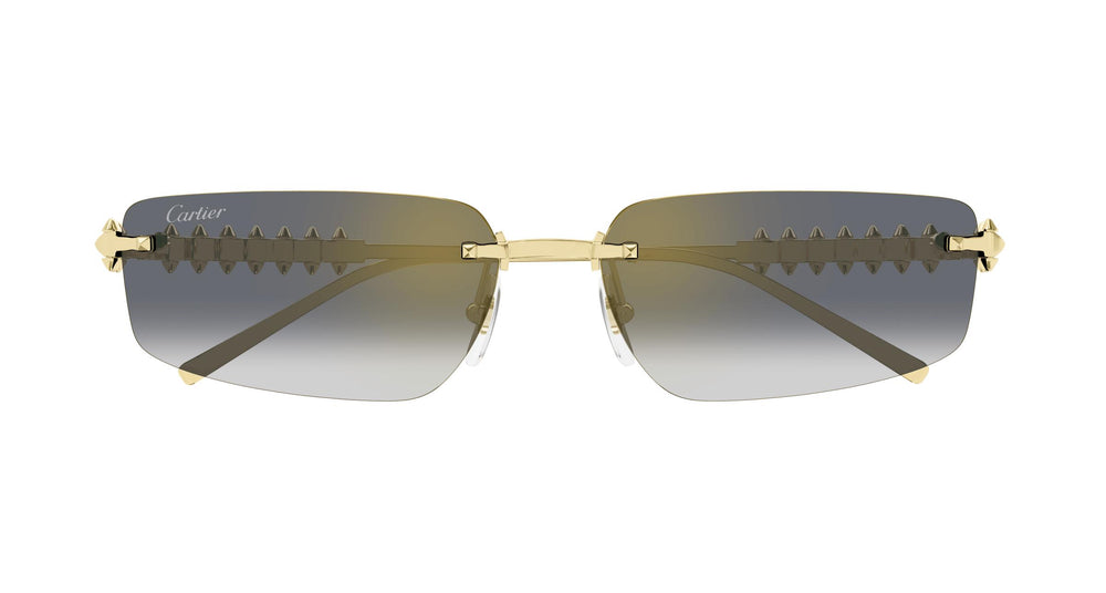 Cartier CT0544S 001 58