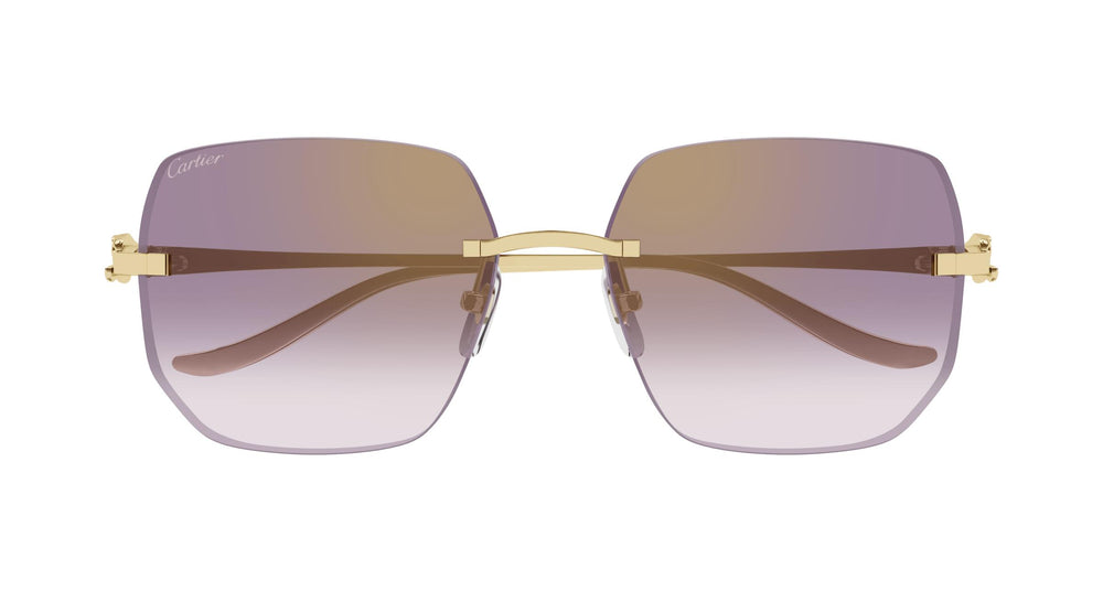 Cartier CT0549S 004 57